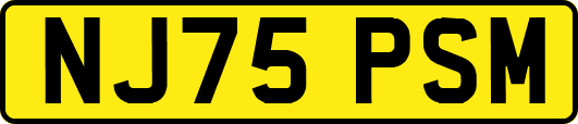 NJ75PSM