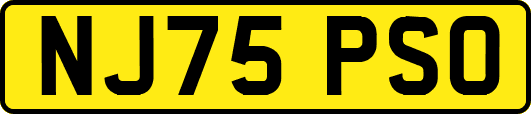 NJ75PSO