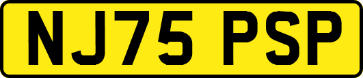 NJ75PSP