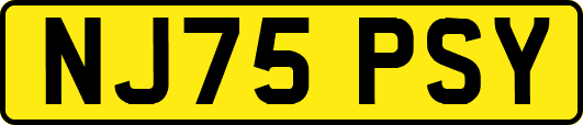 NJ75PSY