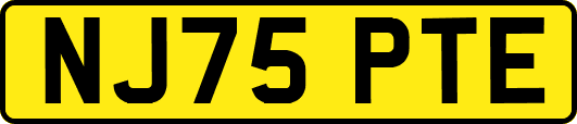 NJ75PTE
