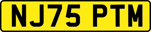 NJ75PTM