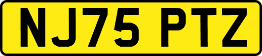 NJ75PTZ