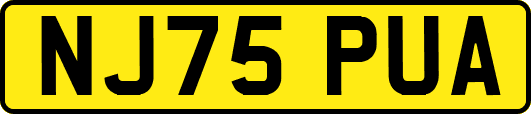 NJ75PUA
