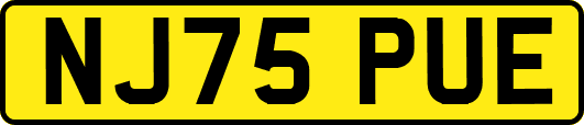 NJ75PUE