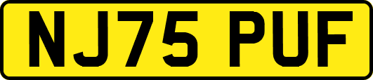 NJ75PUF