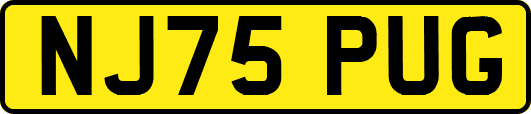NJ75PUG