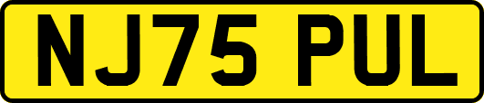 NJ75PUL