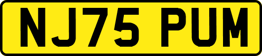 NJ75PUM