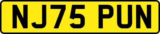 NJ75PUN