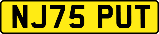 NJ75PUT