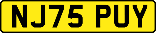 NJ75PUY