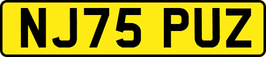 NJ75PUZ