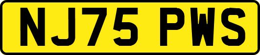 NJ75PWS