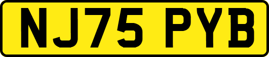 NJ75PYB