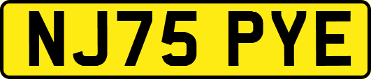 NJ75PYE