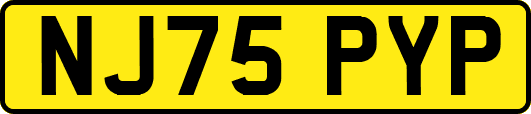 NJ75PYP
