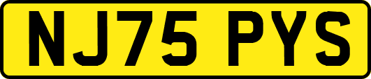 NJ75PYS