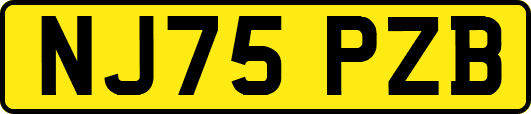 NJ75PZB