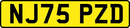 NJ75PZD
