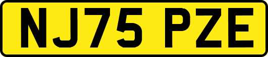 NJ75PZE