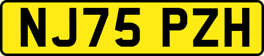 NJ75PZH