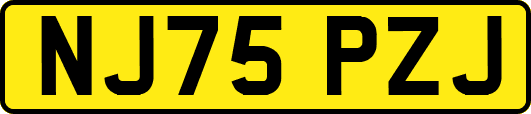 NJ75PZJ