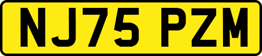 NJ75PZM