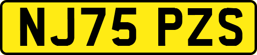 NJ75PZS