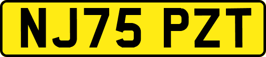 NJ75PZT