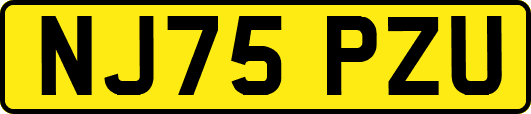 NJ75PZU