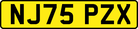 NJ75PZX