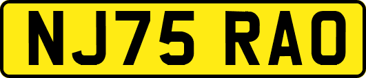 NJ75RAO