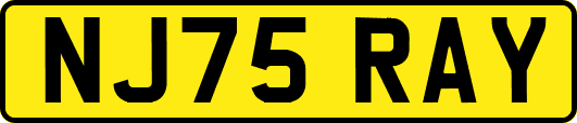 NJ75RAY