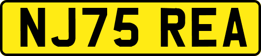 NJ75REA