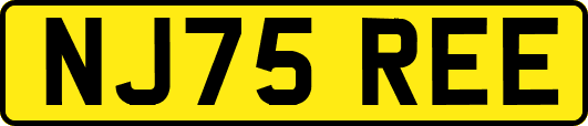 NJ75REE