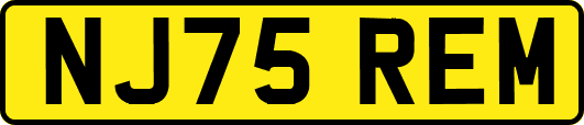 NJ75REM