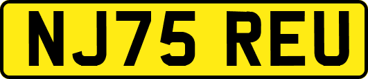 NJ75REU
