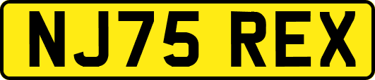 NJ75REX