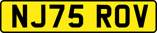 NJ75ROV