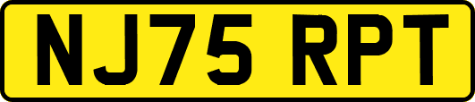 NJ75RPT