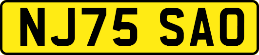 NJ75SAO