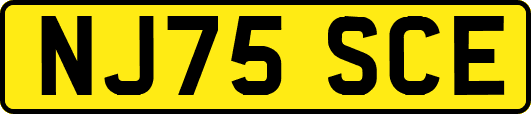 NJ75SCE