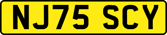 NJ75SCY