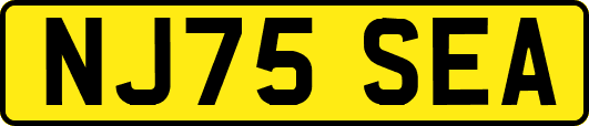 NJ75SEA