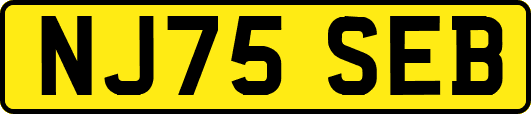 NJ75SEB