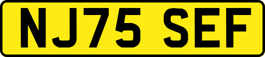 NJ75SEF