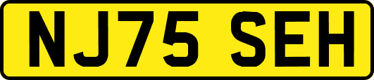 NJ75SEH