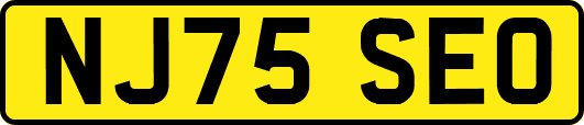 NJ75SEO