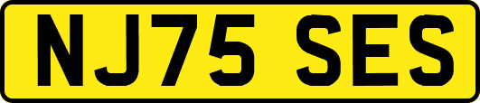 NJ75SES